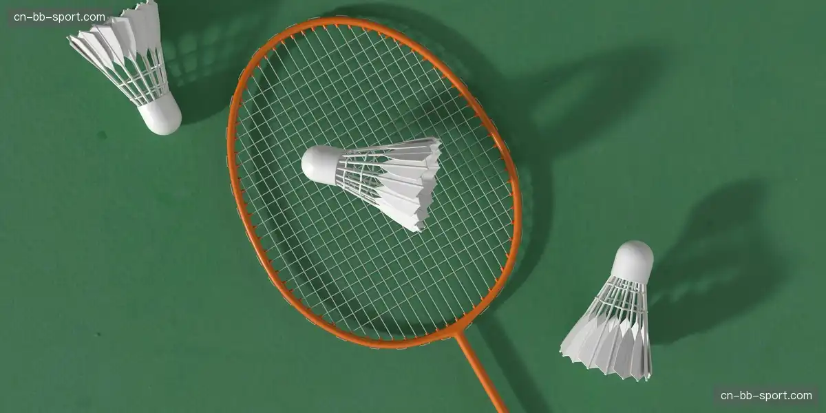 全景赛事直播体验 增强品牌触达